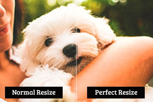 Resize Images without Losing Quality
