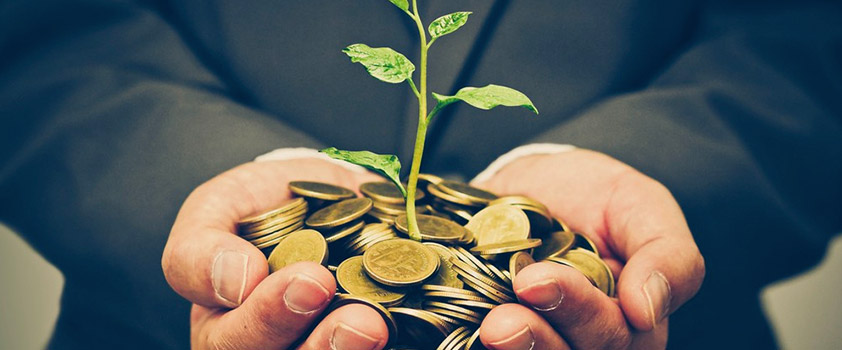 Millionaires' Investment Tips